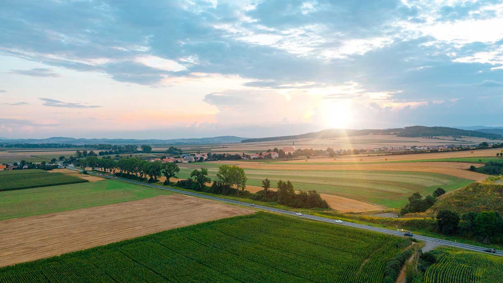 sunrise over agricultural 场s representing 环境al Policy studies at esball国际平台客户端