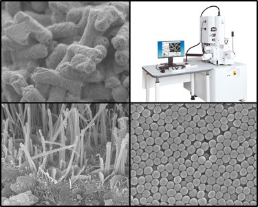 扫描电子显微镜(SEM)机与结果